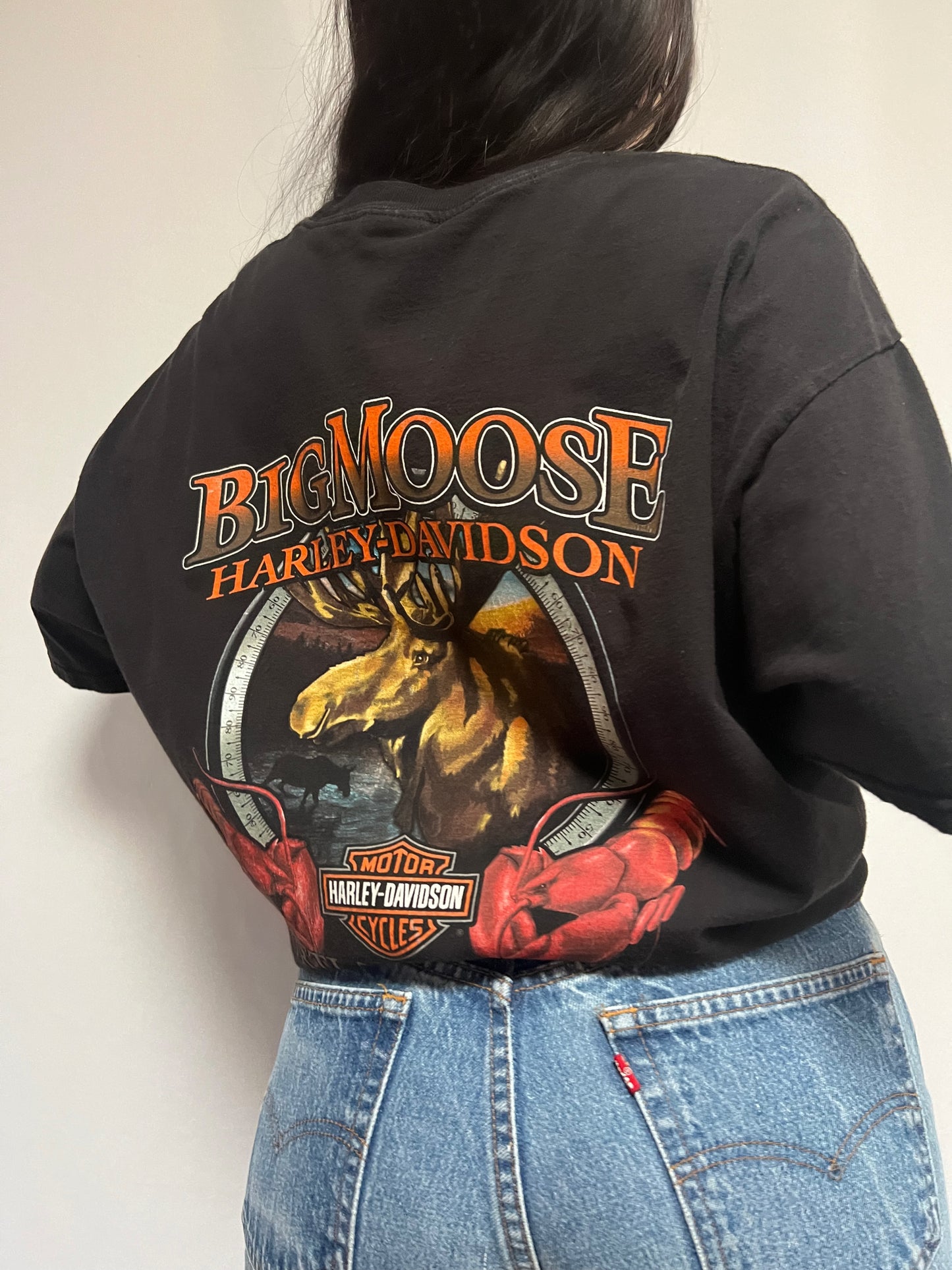 Harley Davidson Maine Tee - XL