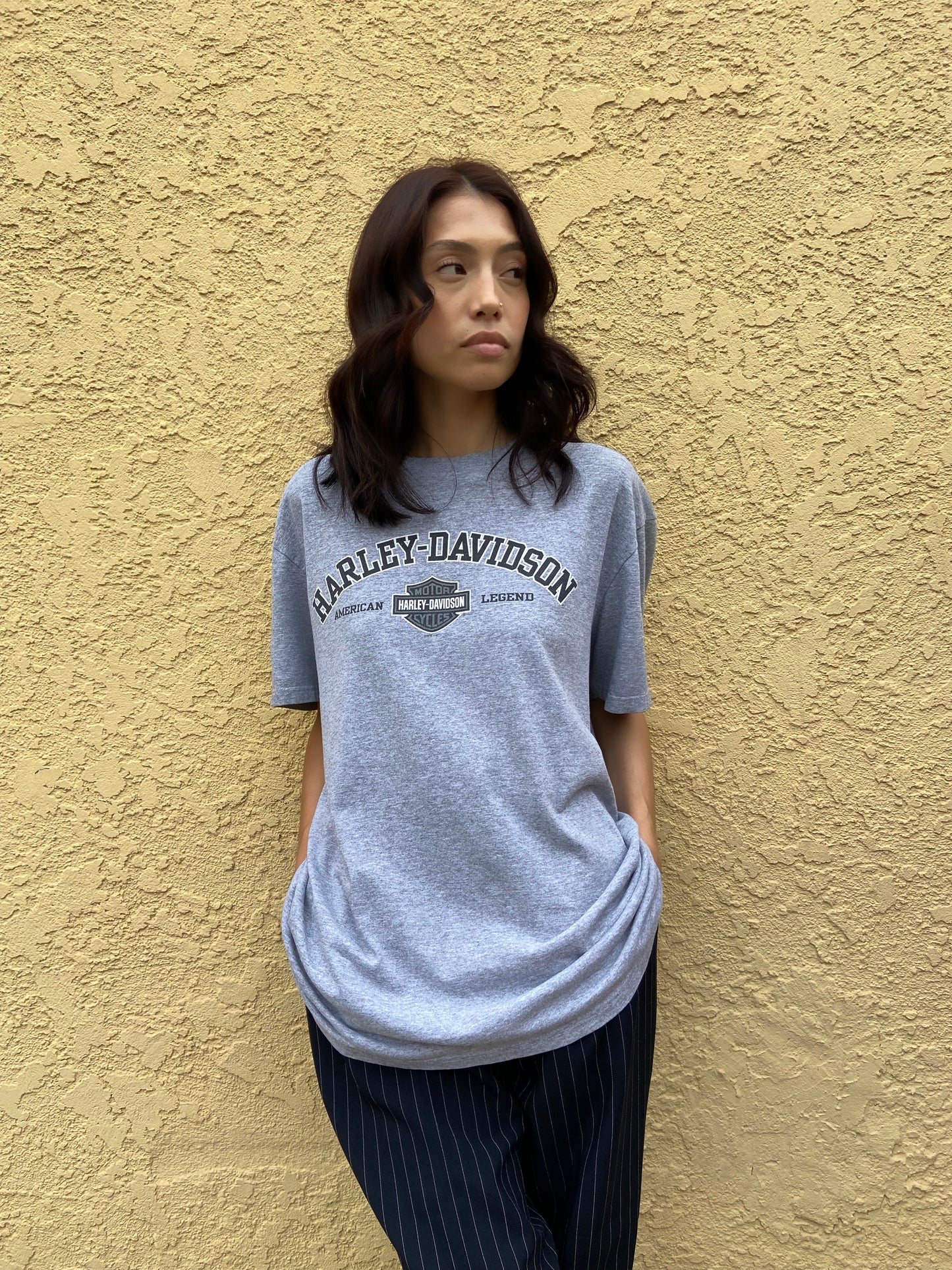 Grey Daytona Harley Davidson Tee