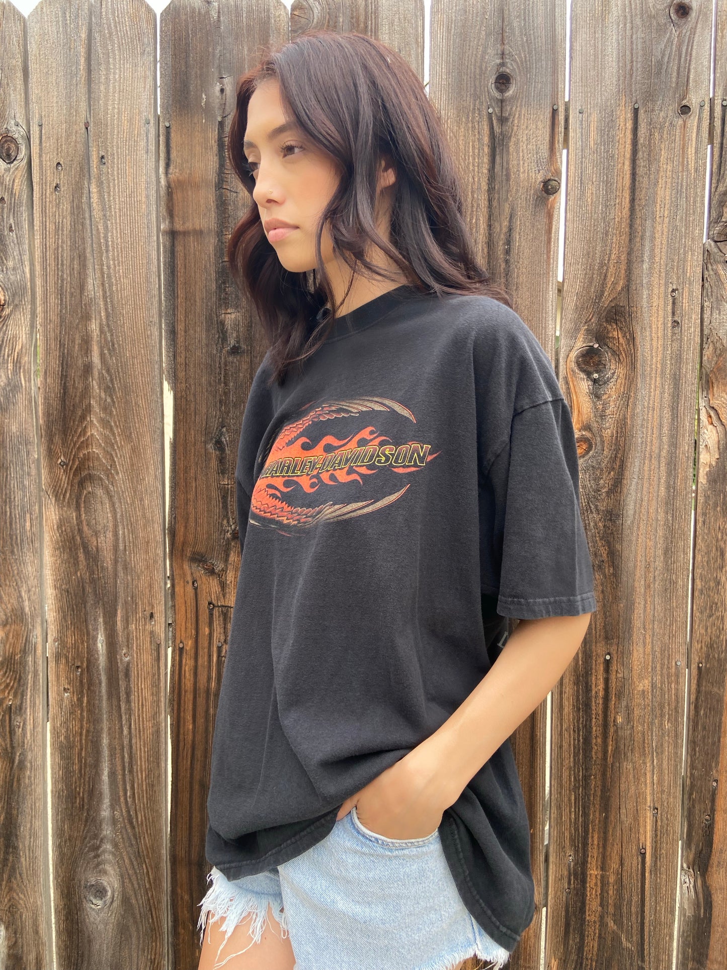Black Eagle’s Nest Harley Davidson Tee