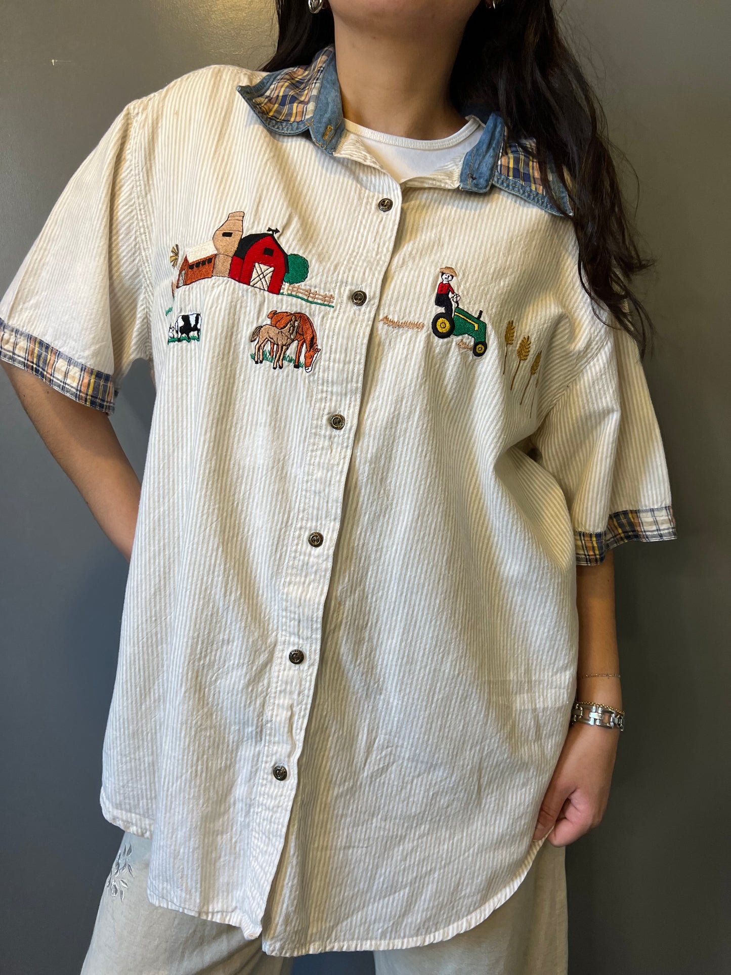 Embroidered Farmer Button-Up - L