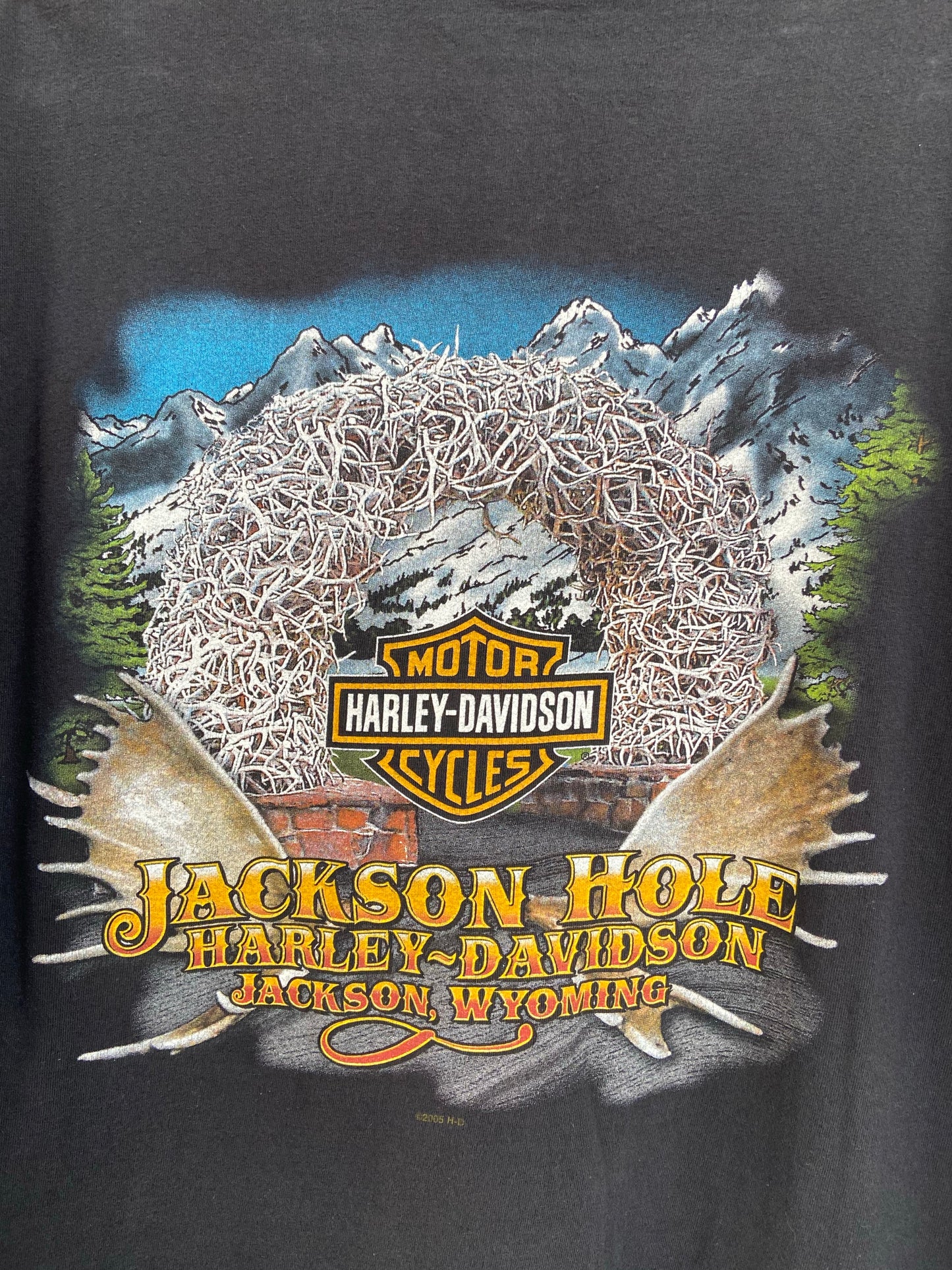 Black Harley Davidson Jackson Hole Tee