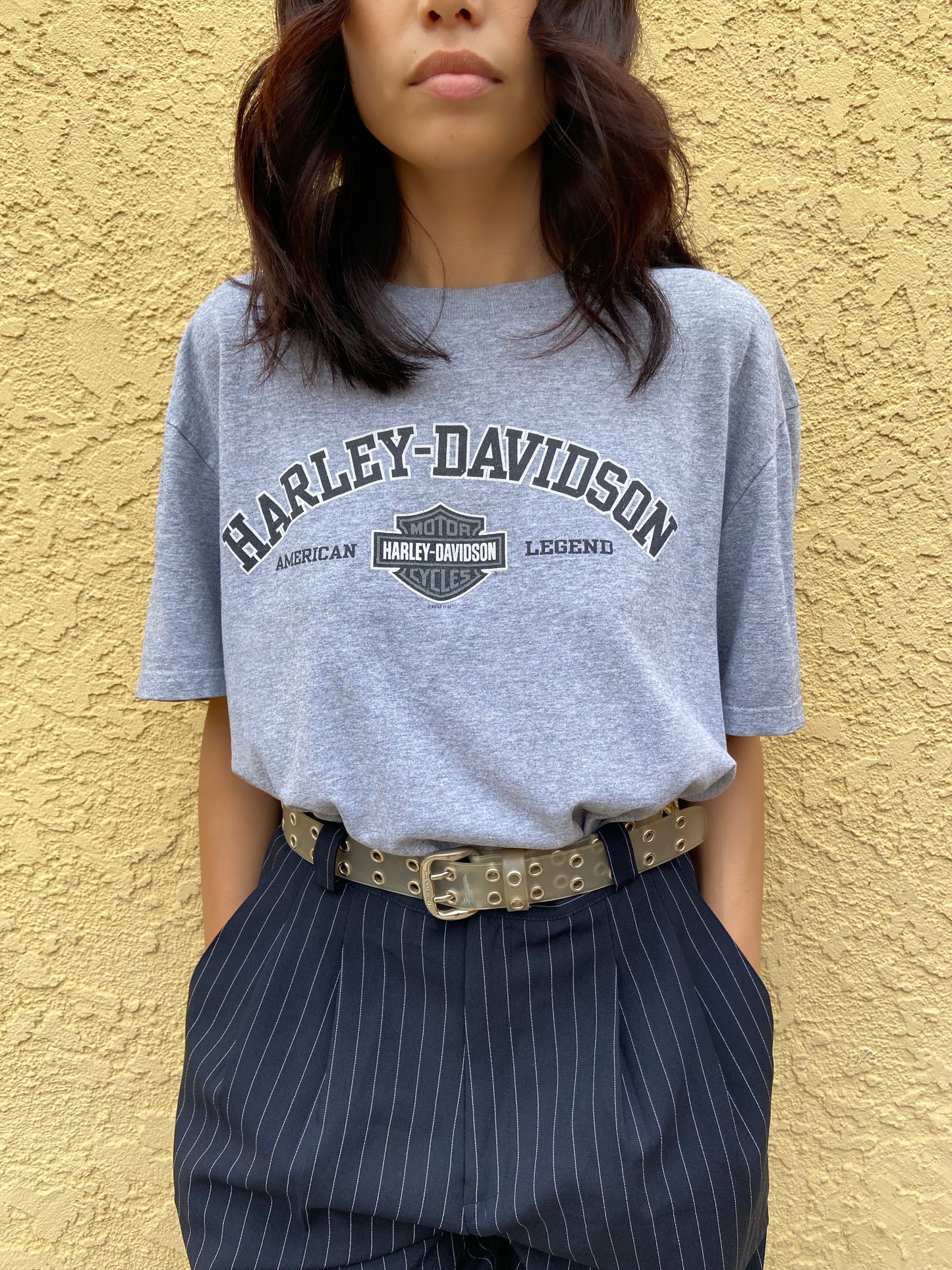Grey Daytona Harley Davidson Tee